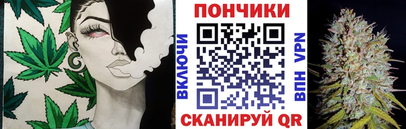 Купить закладку Alpha PVP  Меф мяу мяу  Гудермес