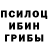 Галлюциногенные грибы Psilocybe Alla Zyabrova